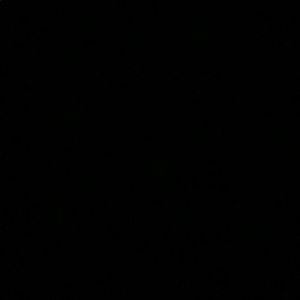 Meet your Posher, Isabella